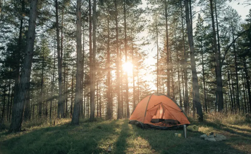 Day Adventure Camps